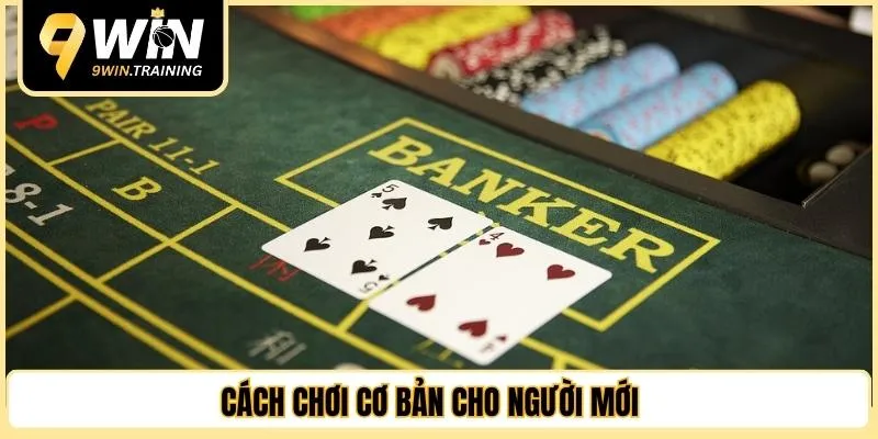 Cách chơi cơ bản cho người mới