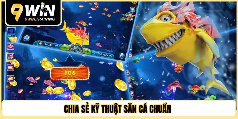 Chia sẻ kỹ thuật săn cá chuẩn