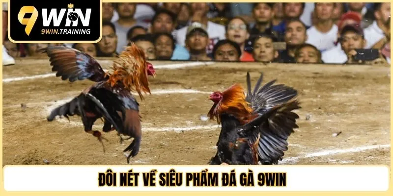 Đôi nét về siêu phẩm đá gà 9WIN